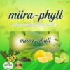 Miira-Phyll Natural Detox Powder – Herbal Colon Cleanse for Digestive & Total Body Wellness